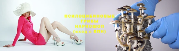 a pvp Арсеньев